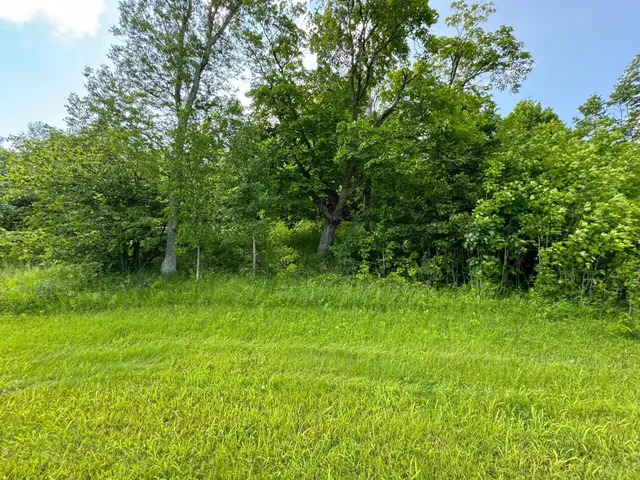 $170,000 | 290-xx North Buffalo Lake Road, Callaway, MN 56521