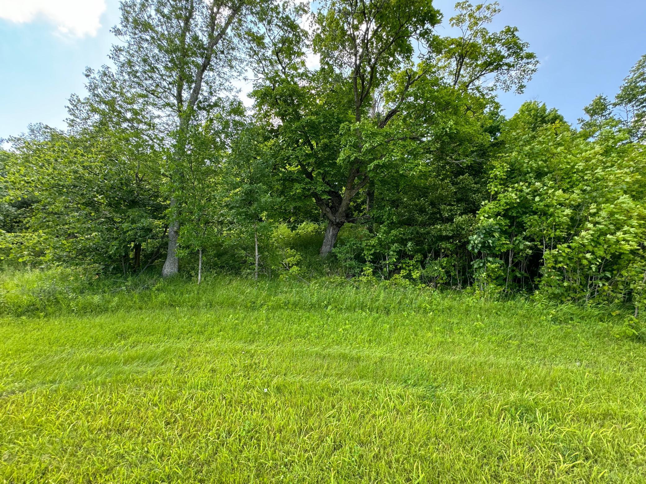 290-xx North Buffalo Lake Road Callaway, MN 56521 - Photo 6 of 8