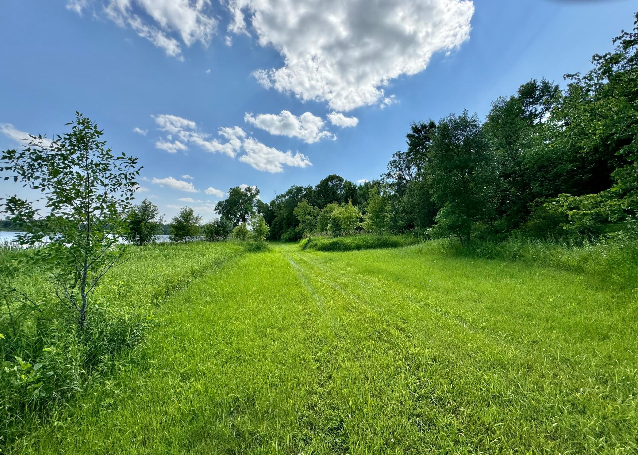 290-xx North Buffalo Lake Road Callaway, MN 56521 - Photo 7 of 8