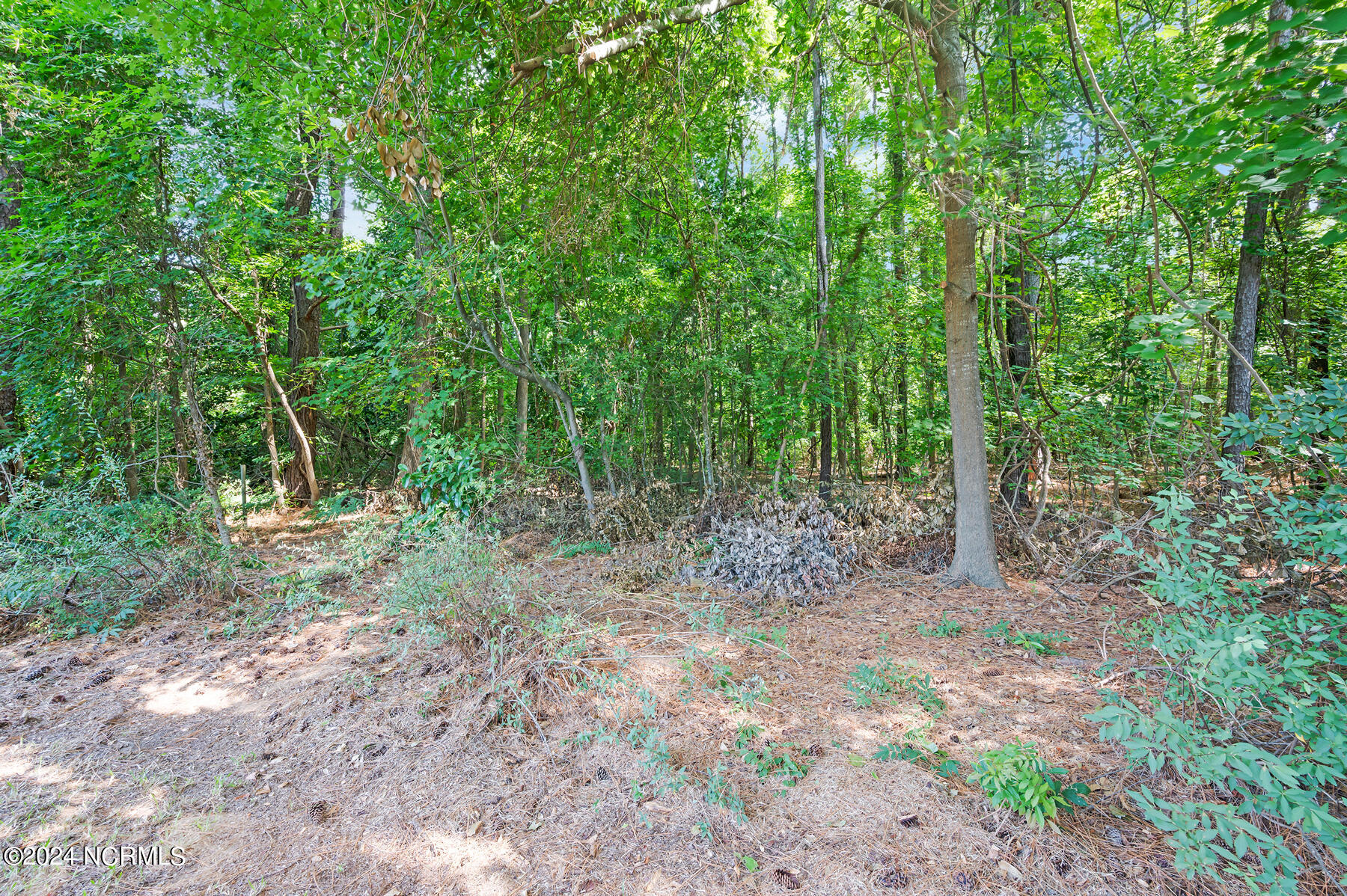 209 Kent Road Greenville, NC 27858 - Photo 9 of 34 209 Kent Road-00009