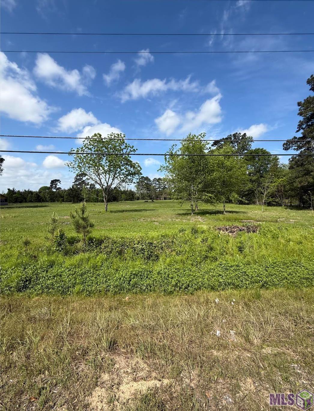 39051 Reinninger Road Denham Springs, LA 70706 - Photo 1 of 5 Gallery Image 1