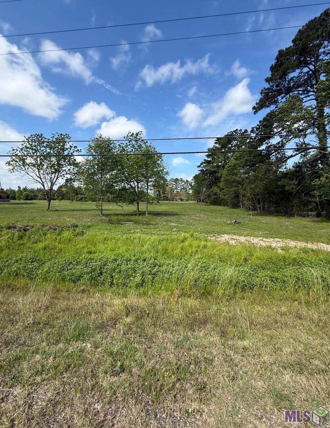 39051 Reinninger Road Denham Springs, LA 70706 - Photo 3 of 5 Gallery Image 3