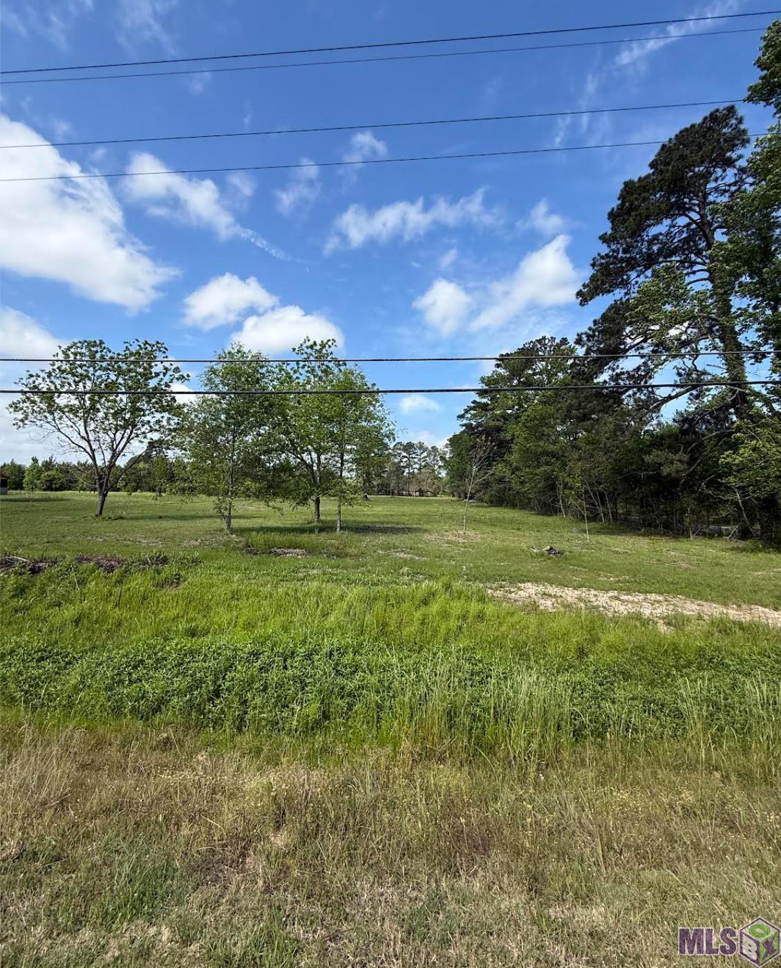 39051 Reinninger Road Denham Springs, LA 70706 - Photo 4 of 5 Gallery Image 4