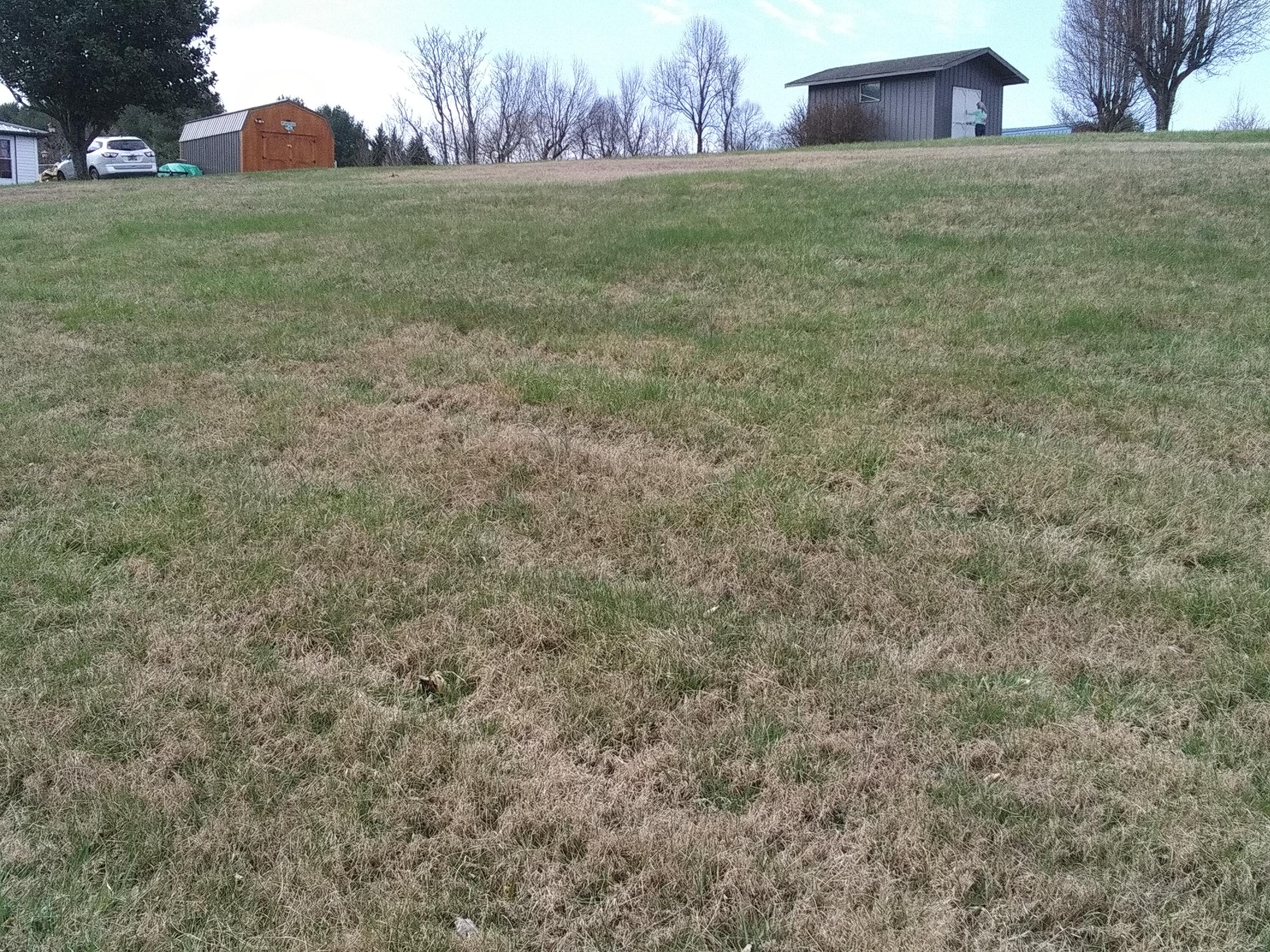 309 Cassi Road Chuckey, TN 37641 - Photo 2 of 5 0224231145