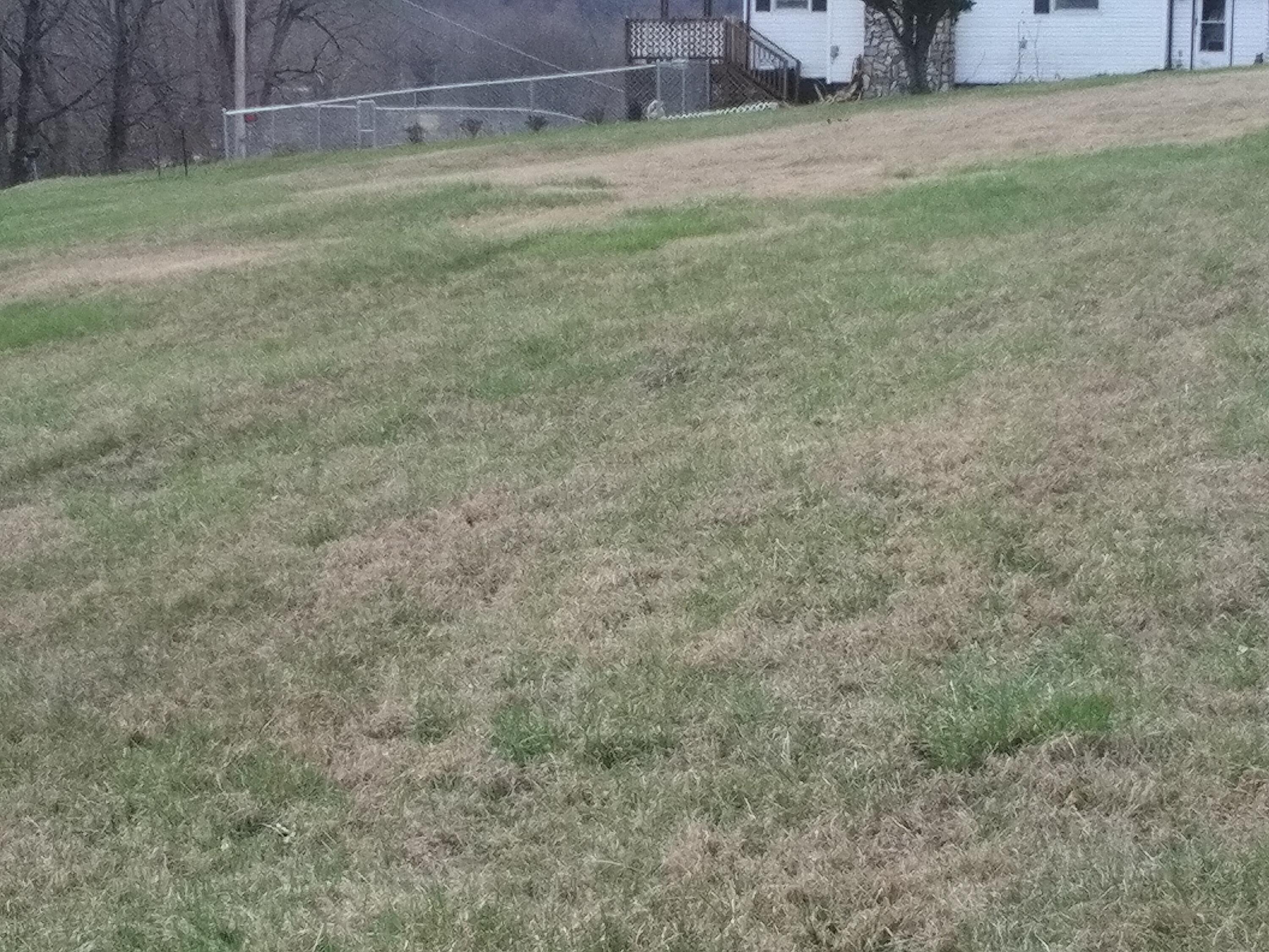 309 Cassi Road Chuckey, TN 37641 - Photo 3 of 5 0224231144a