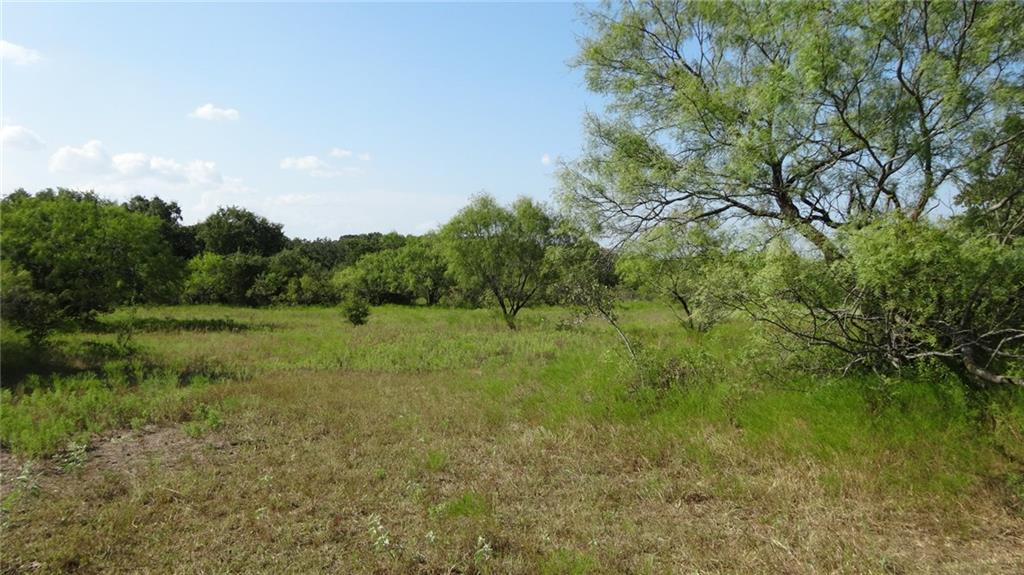 114 Boyd Tx 76023 Boyd, TX 76023 - Photo 12 of 21