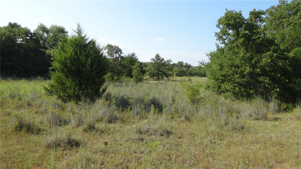 114 Boyd Tx 76023 Boyd, TX 76023 - Photo 15 of 21