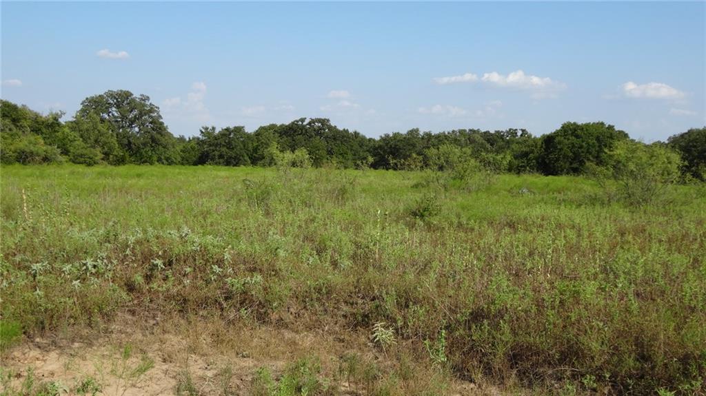 114 Boyd Tx 76023 Boyd, TX 76023 - Photo 19 of 21