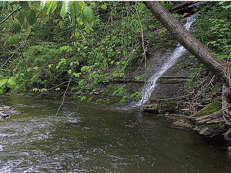 1397 Abers Creek Road Monroeville, PA 15146 - Photo 3 of 25 Yard/Garden. Waterfall: LOOK AT THIS!
