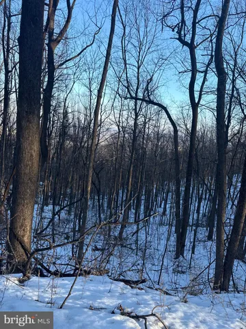 $60,000 | 1611 Summit Drive, Haymarket, VA 20169