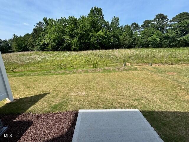 10548 Brookside Reserve Road Raleigh, NC 27614 - Photo 9 of 23 RR 19 - Backyard