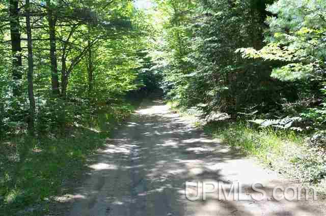E734 Stella Lake Road Rapid River, MI 49864 - Photo 4 of 13
