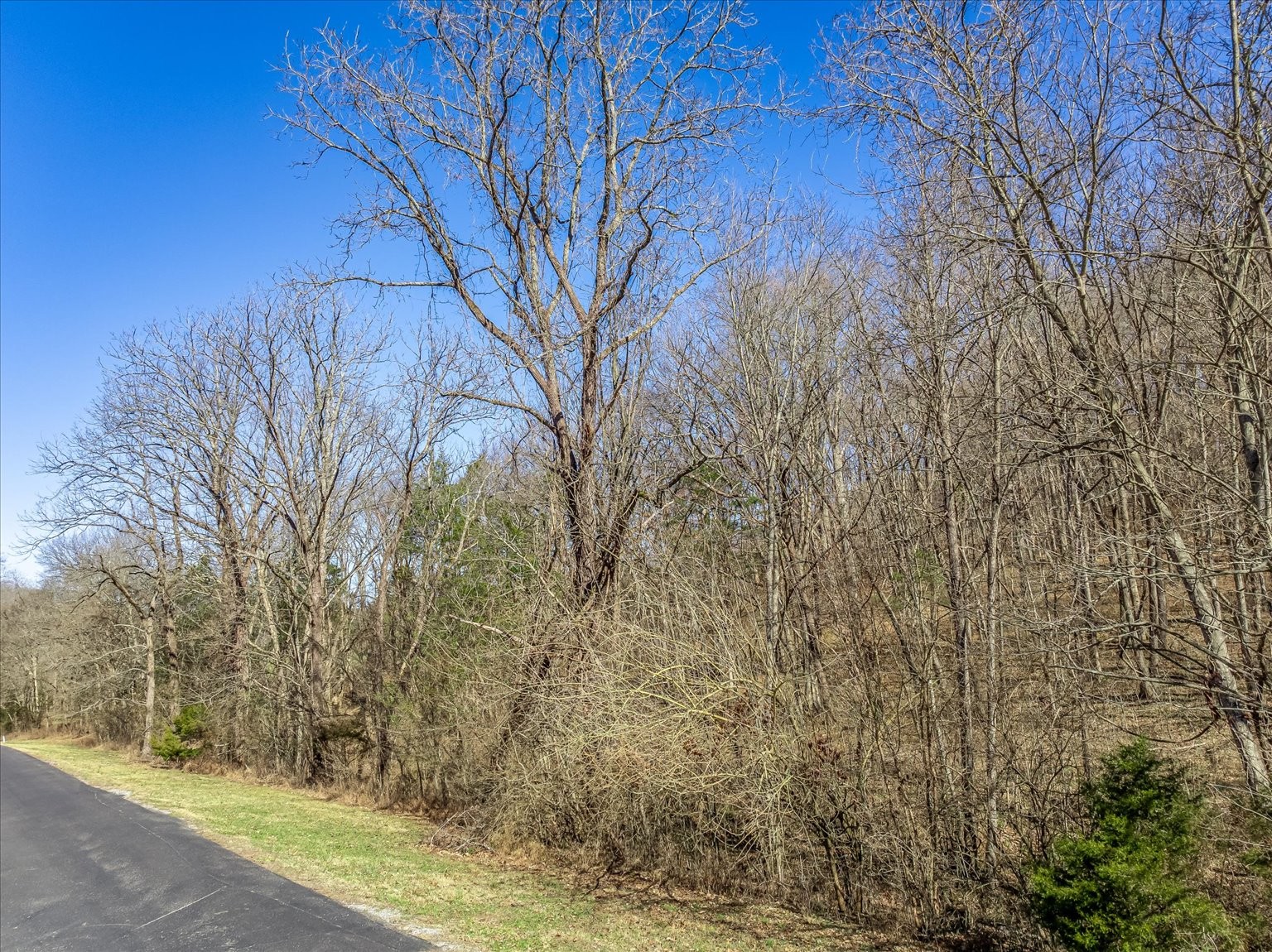 119 Hidden Valley Road Arrington, TN 37014 - Photo 8 of 14 Gallery Image 8
