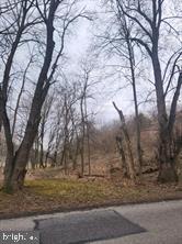 Partially wooded lot