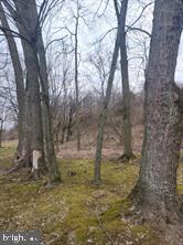 103 Tri Hill Road York, PA 17403 - Photo 2 of 2