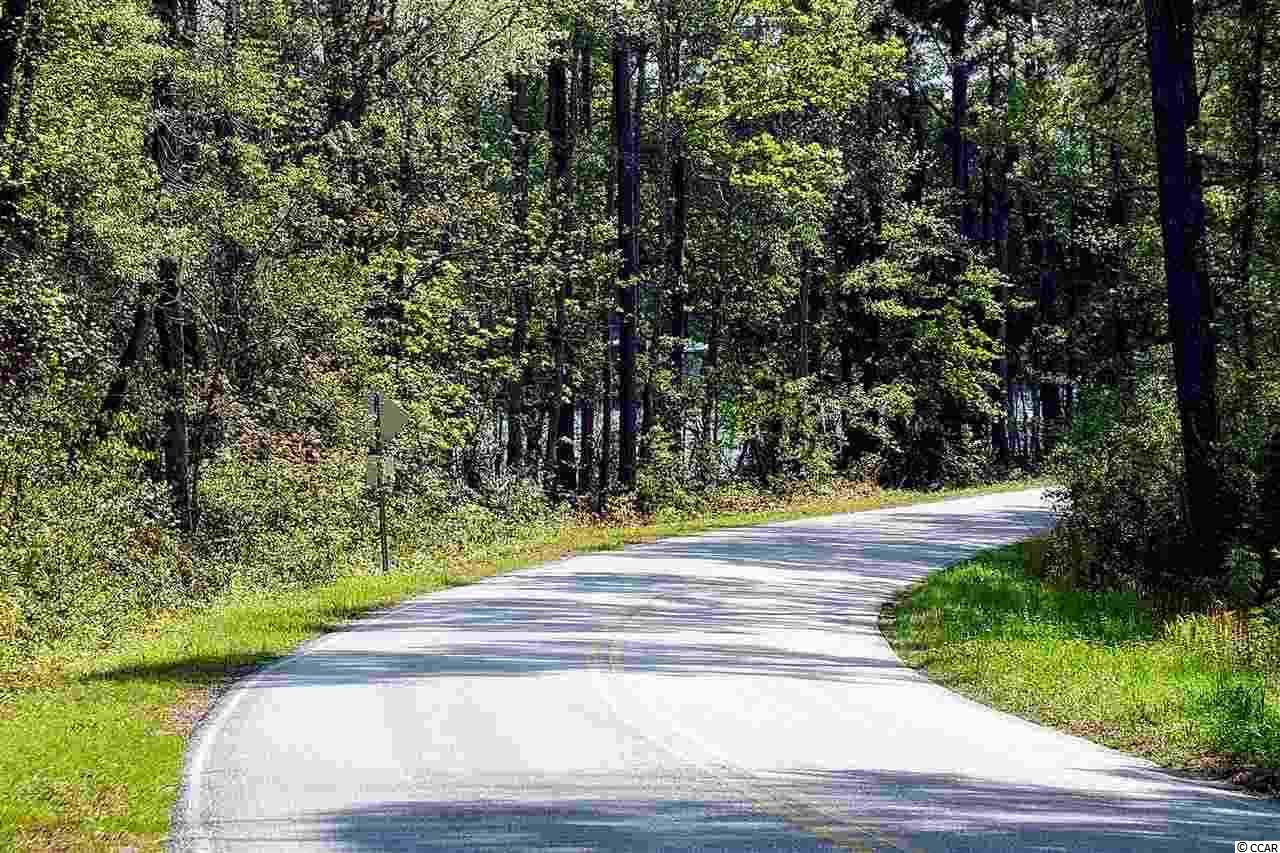 Lot 2 Vaught Road Galivants Ferry, SC 29544 - Photo 1 of 8 Gallery Image 1