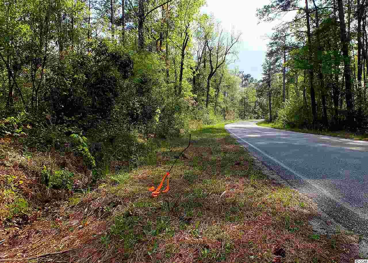 Lot 2 Vaught Road Galivants Ferry, SC 29544 - Photo 3 of 8 Gallery Image 3