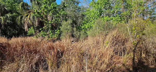 $65,000 | Undisclosed Address, Lake Wales, FL 33898