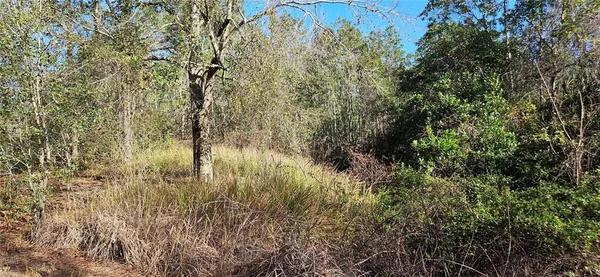 $65,000 | Undisclosed Address, Lake Wales, FL 33898