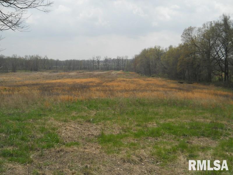 146 Old Rte 146 Loop Vienna, IL 62995 - Photo 1 of 8