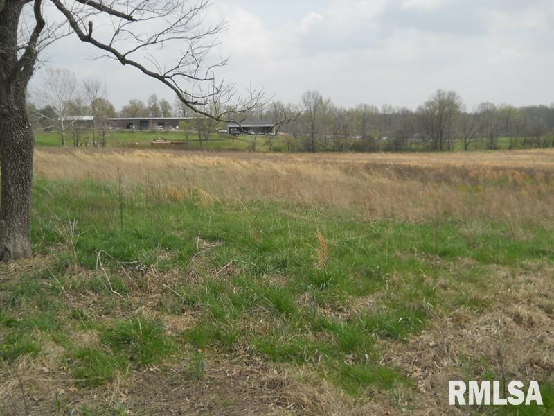 146 Old Rte 146 Loop Vienna, IL 62995 - Photo 4 of 8