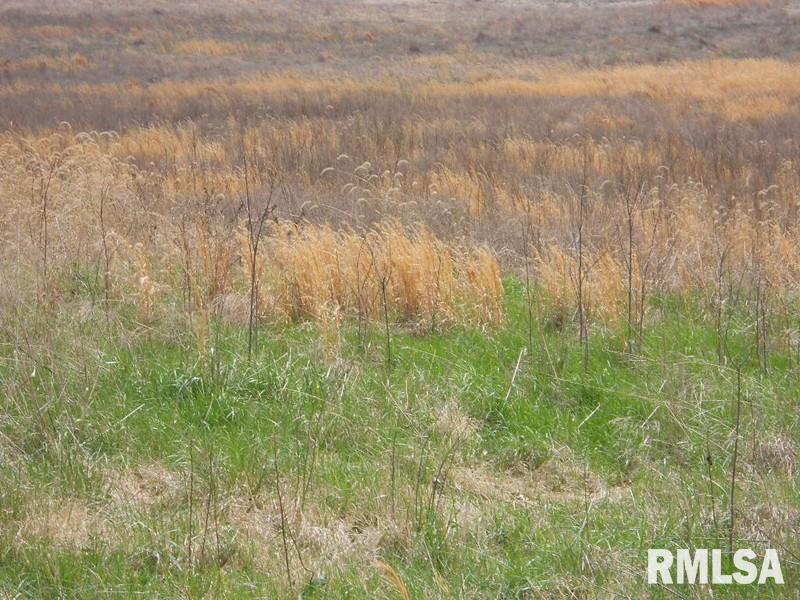 146 Old Rte 146 Loop Vienna, IL 62995 - Photo 5 of 8