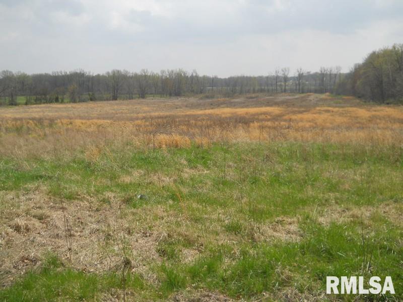 146 Old Rte 146 Loop Vienna, IL 62995 - Photo 7 of 8