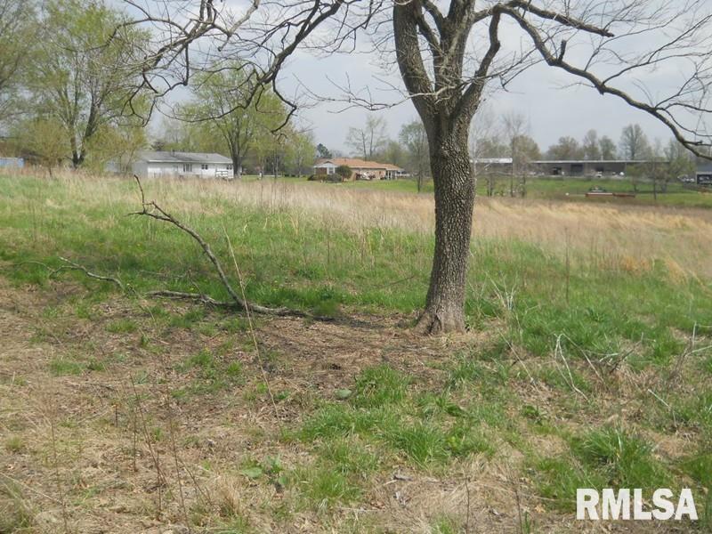 146 Old Rte 146 Loop Vienna, IL 62995 - Photo 8 of 8