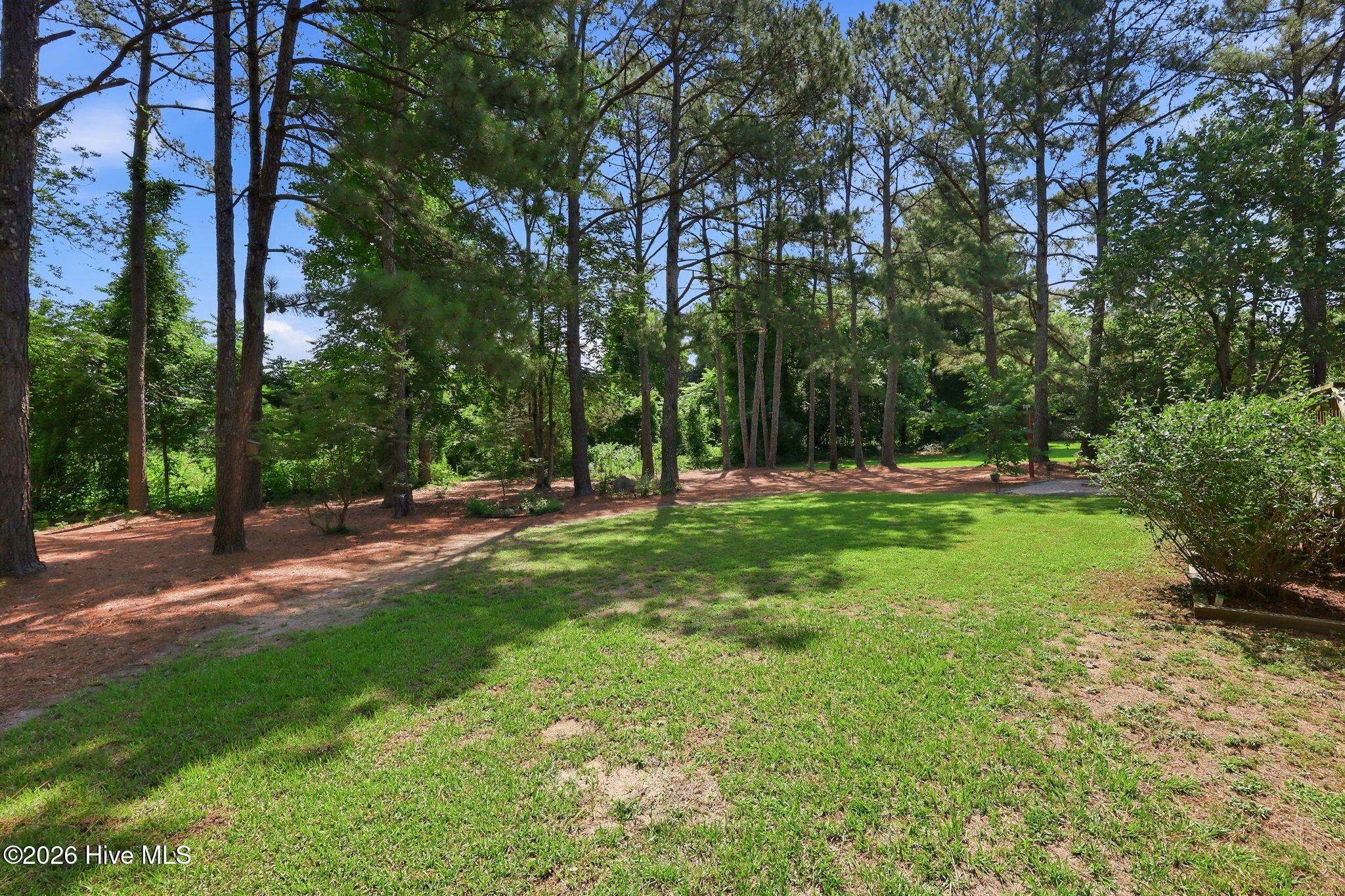 487 Vass-Carthage Road Carthage, NC 28327 - Photo 18 of 50