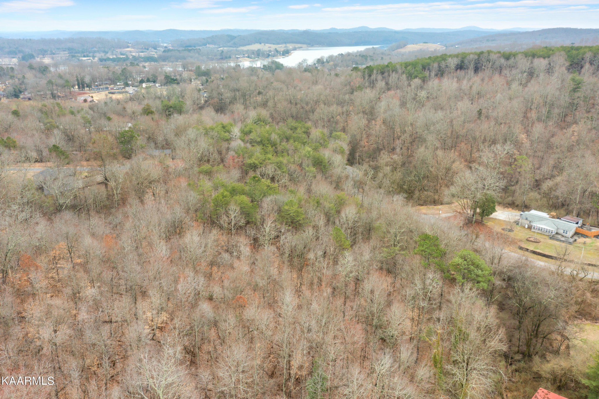 0 Bluff Road Harriman, TN 37748 - Photo 5 of 7 Gallery Image 5
