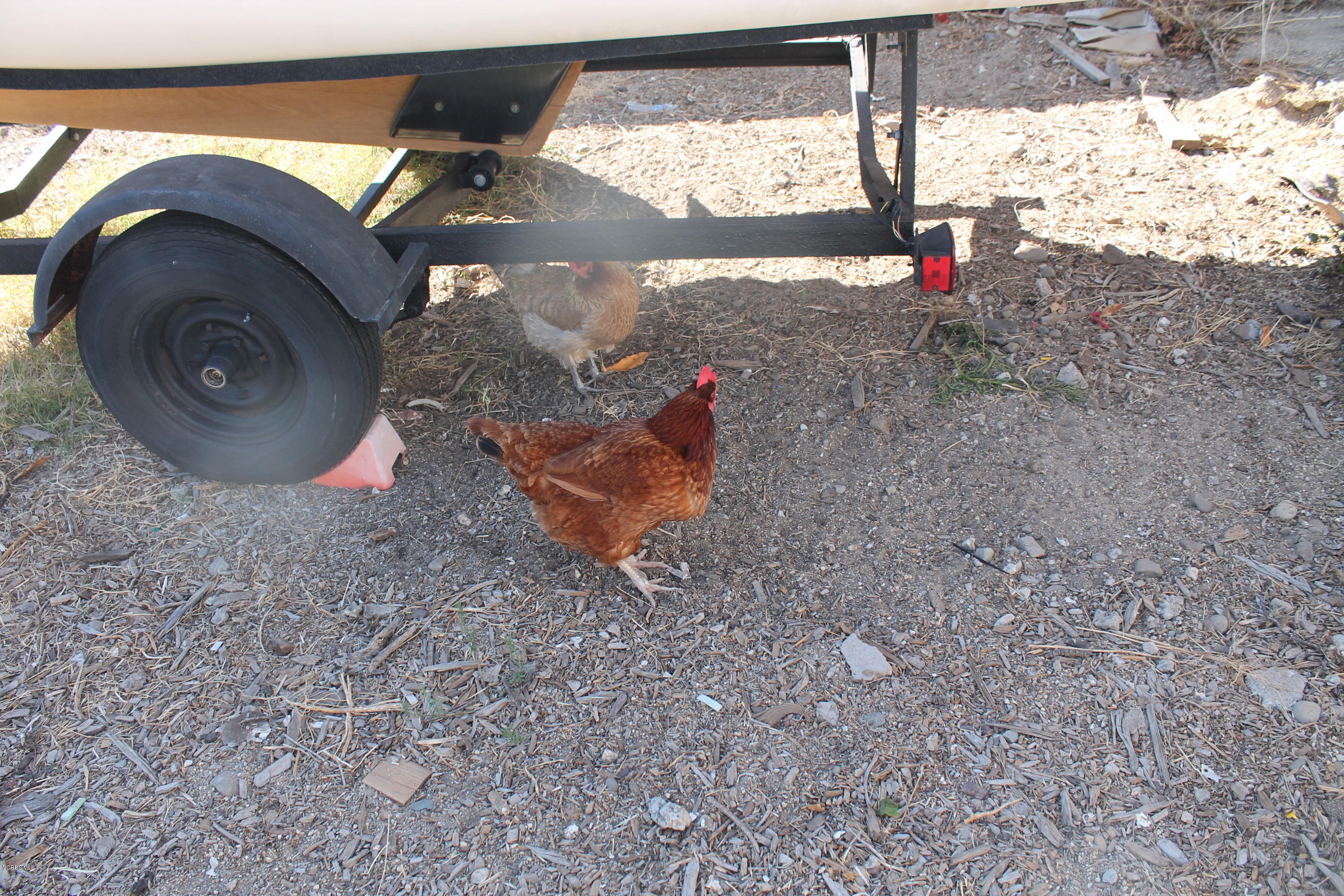 838 East Stroube Street Oxnard, CA 93036 - Photo 13 of 13 a view of a small yard with a sink