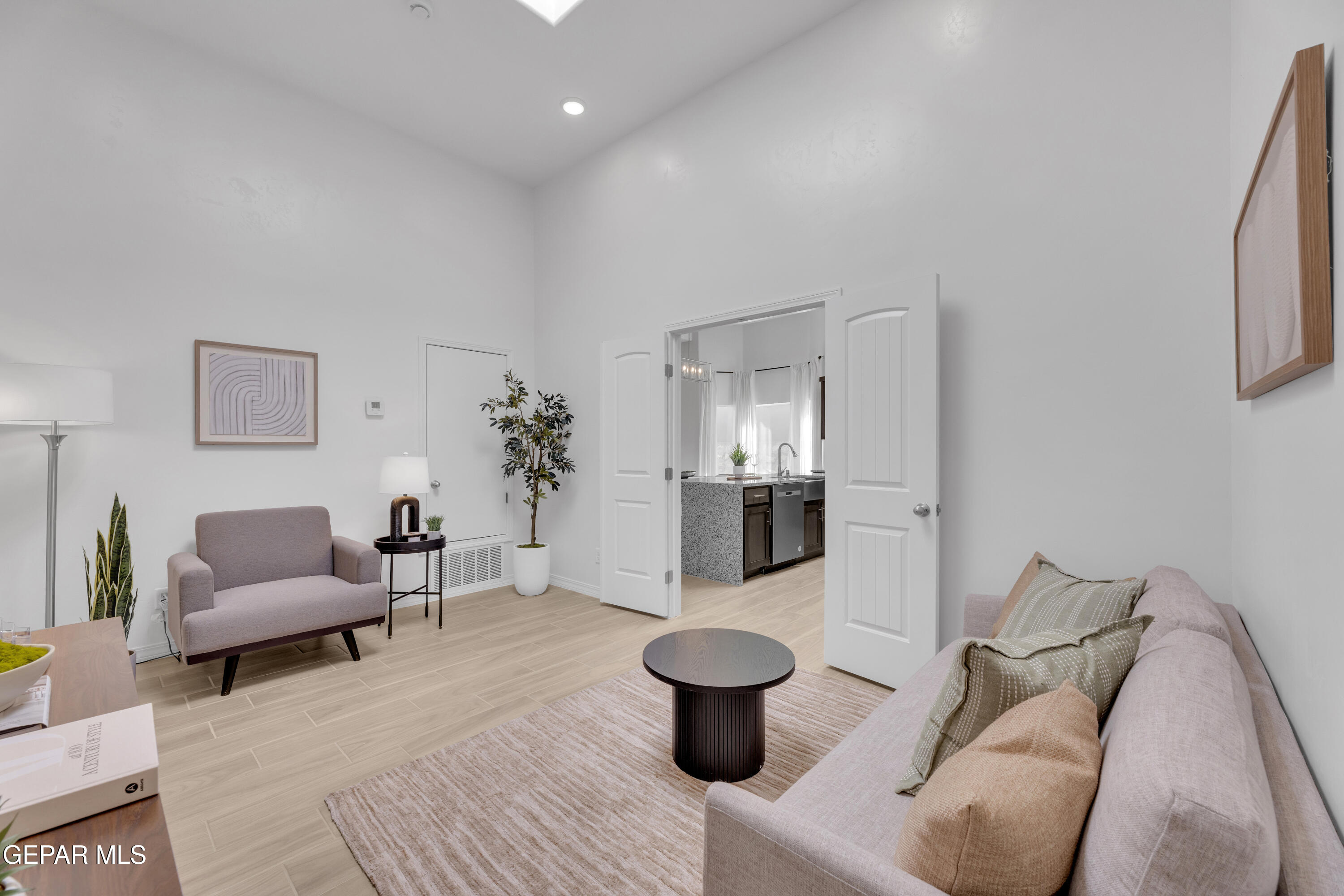 6035 Summer Ridge Santa Teresa, NM 88008 - Photo 11 of 49 a living room with furniture a rug and a potted plant