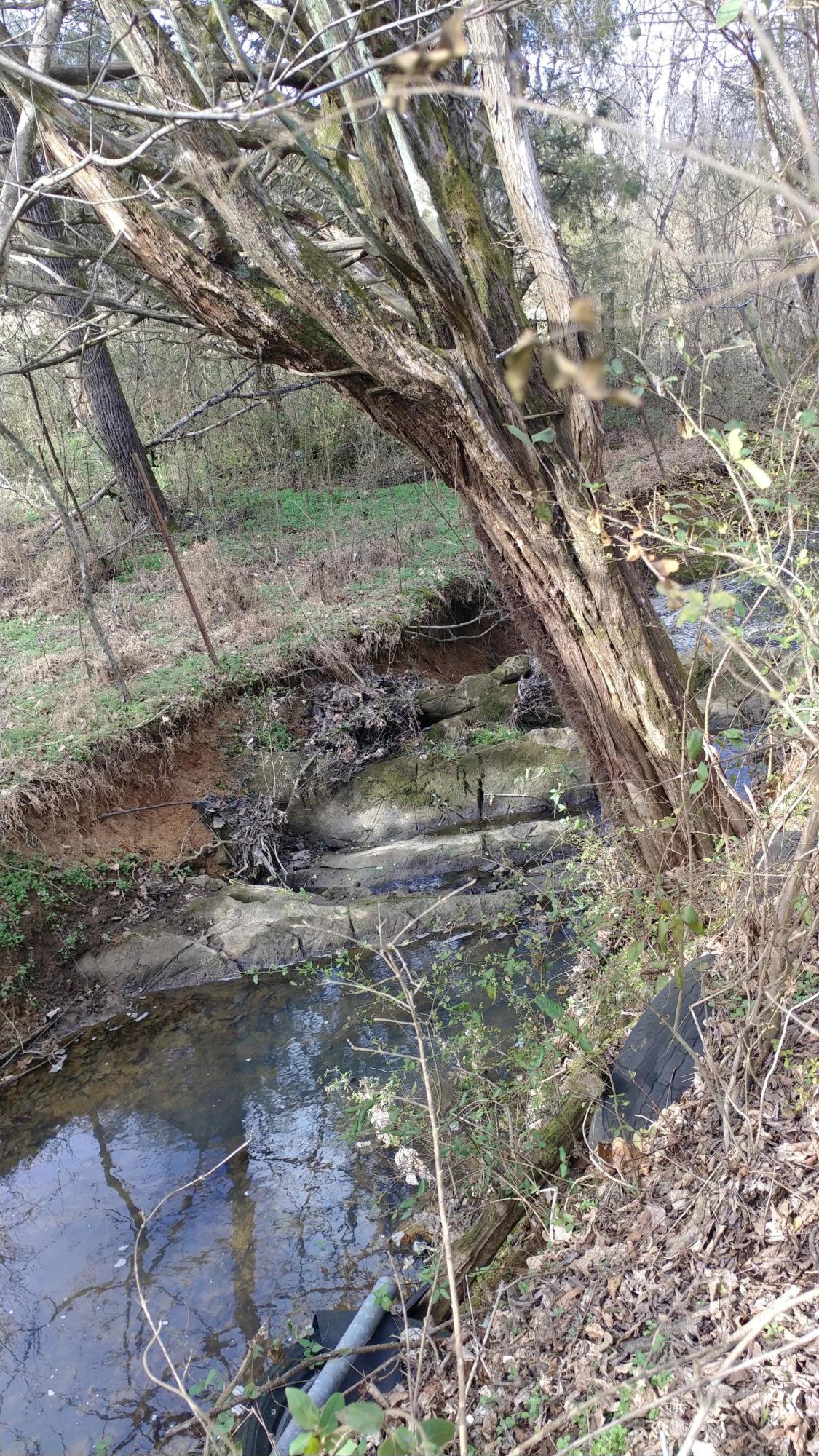 219 Coleman Road Madisonville, TN 37354 - Photo 21 of 30 0123181413c