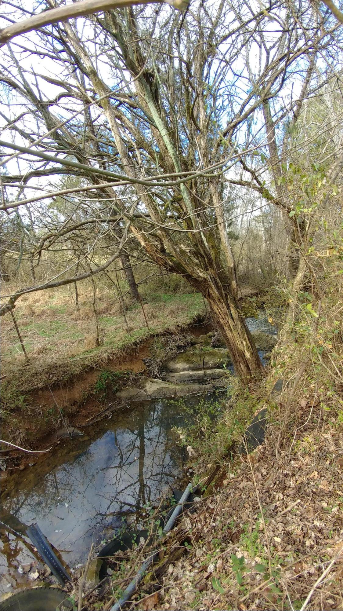 219 Coleman Road Madisonville, TN 37354 - Photo 23 of 30 0123181413