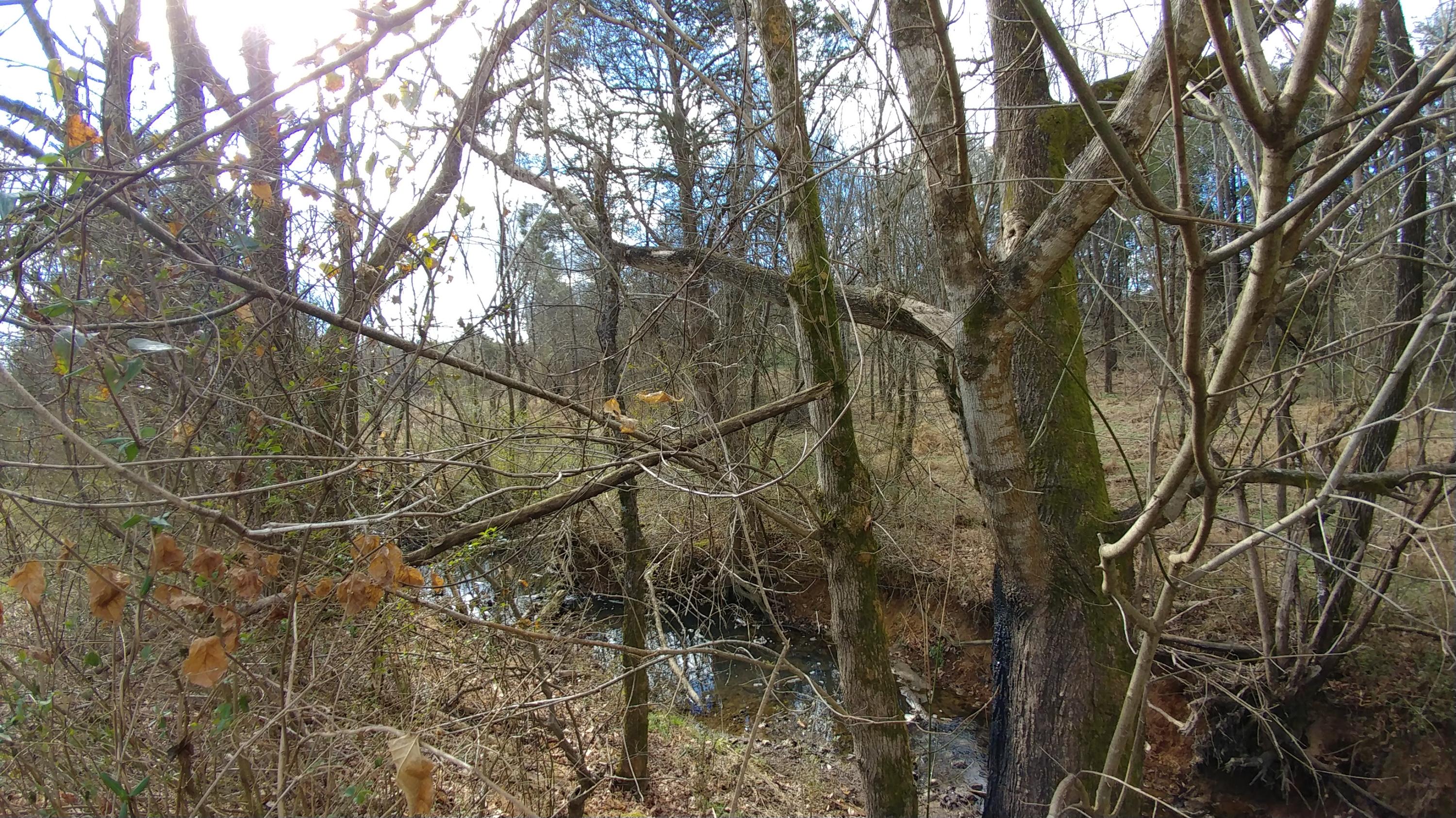 219 Coleman Road Madisonville, TN 37354 - Photo 24 of 30 0123181412h