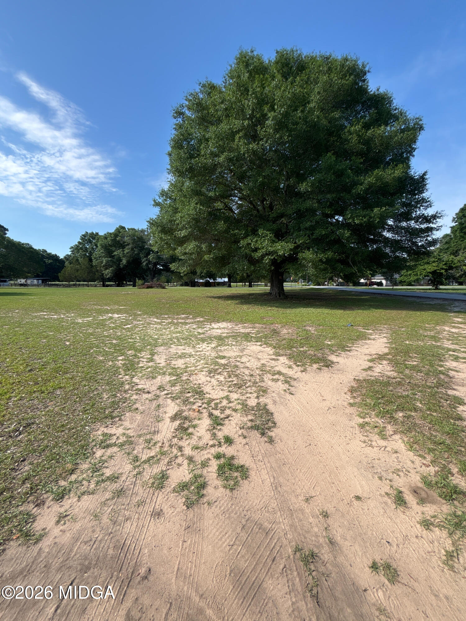 0 Lot Road Hawkinsville, GA 31036 - Photo 4 of 6