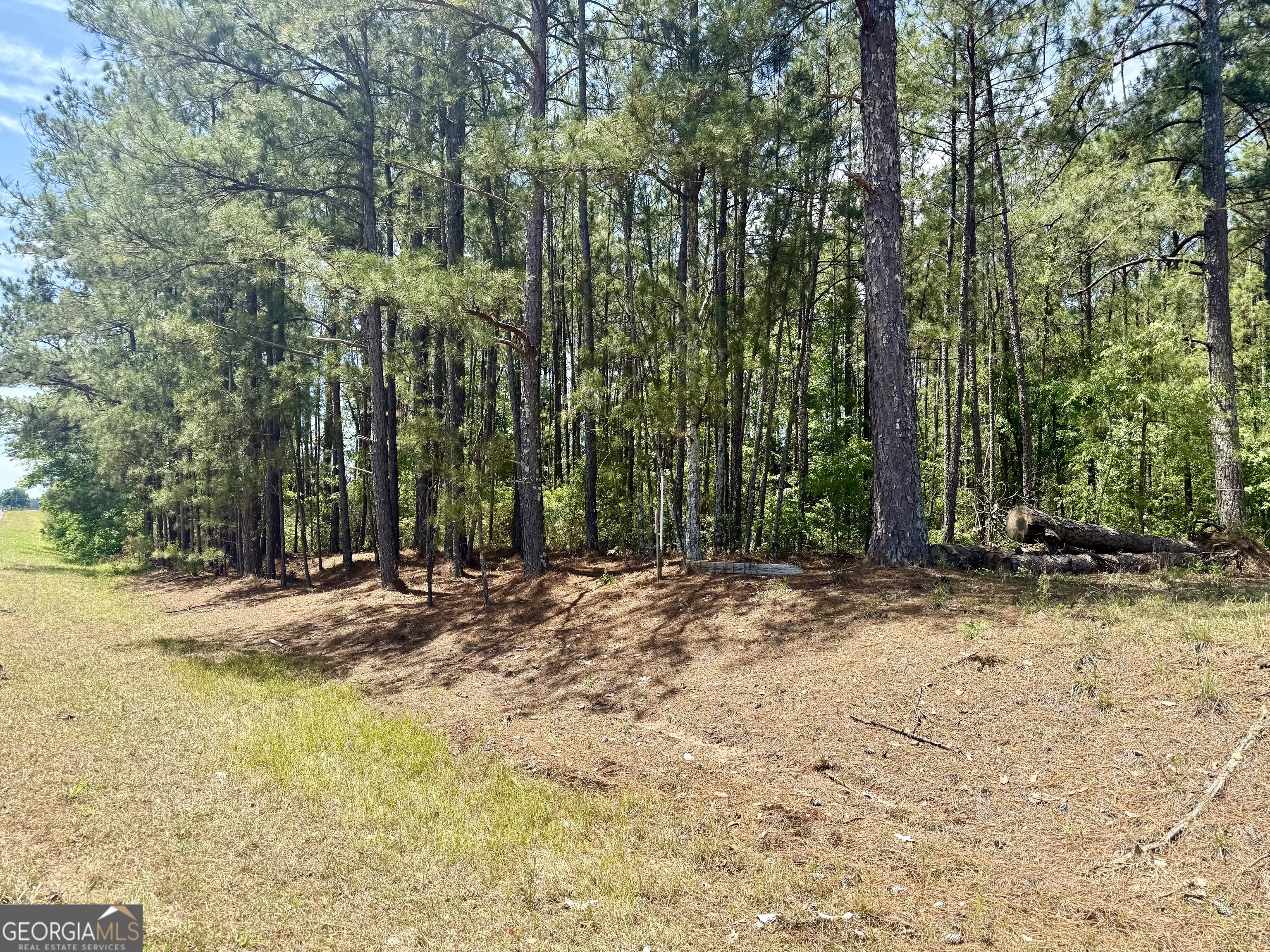 1983 Minton Chapel Road Bartow, GA 30413 - Photo 20 of 30