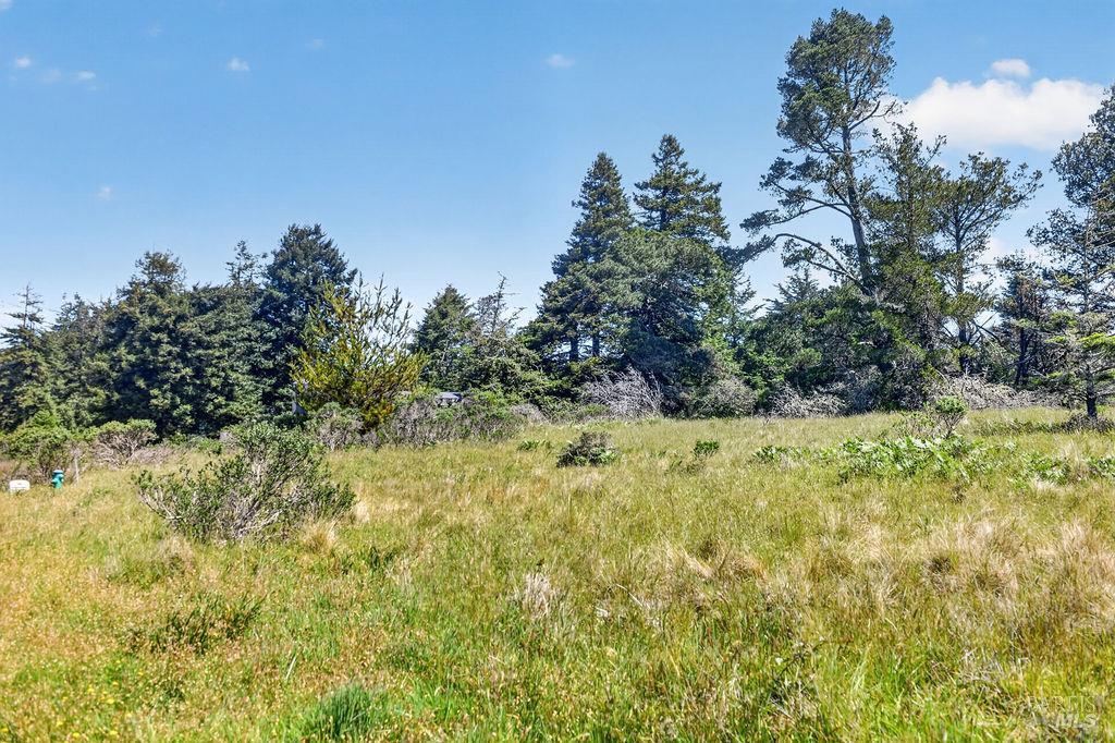 35604 Timber Ridge Road The Sea Ranch, CA 95497 - Photo 10 of 12