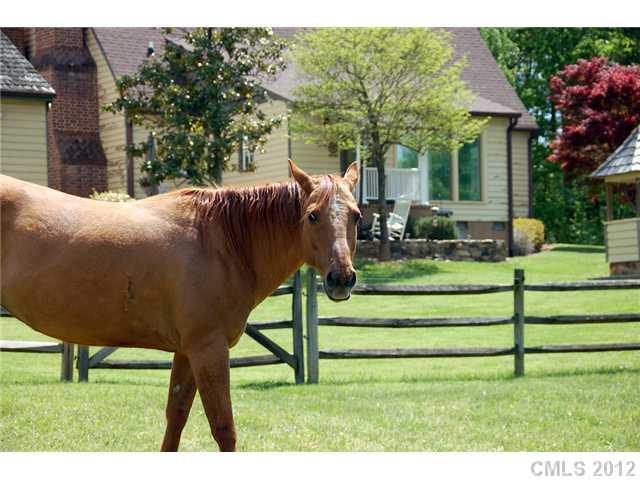 640 Agner Road Salisbury, NC 28146 - Photo 10 of 16 Gallery Image 10