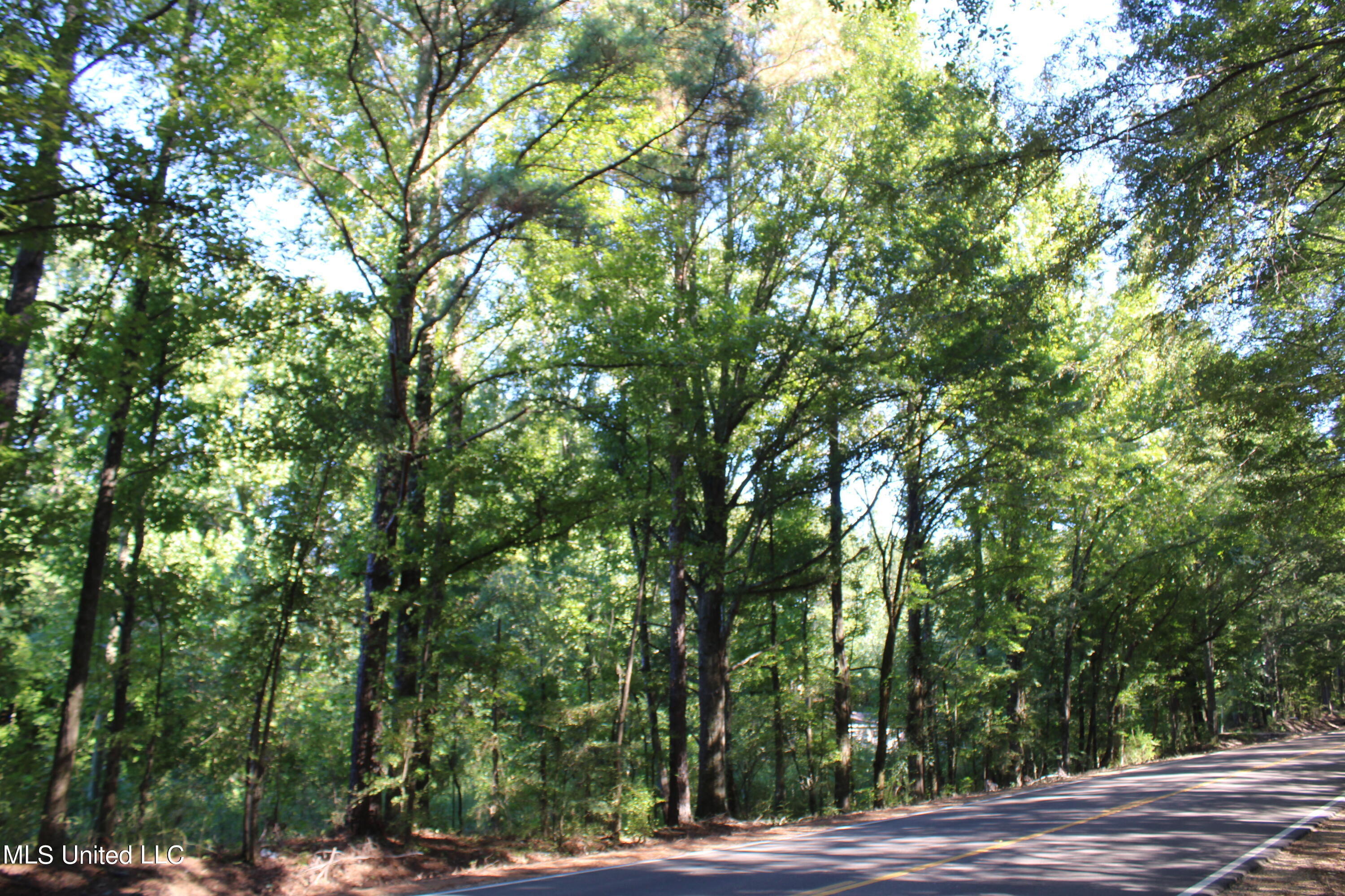 799 Rader Creek Road Sarah, MS 38665 - Photo 1 of 9 land
