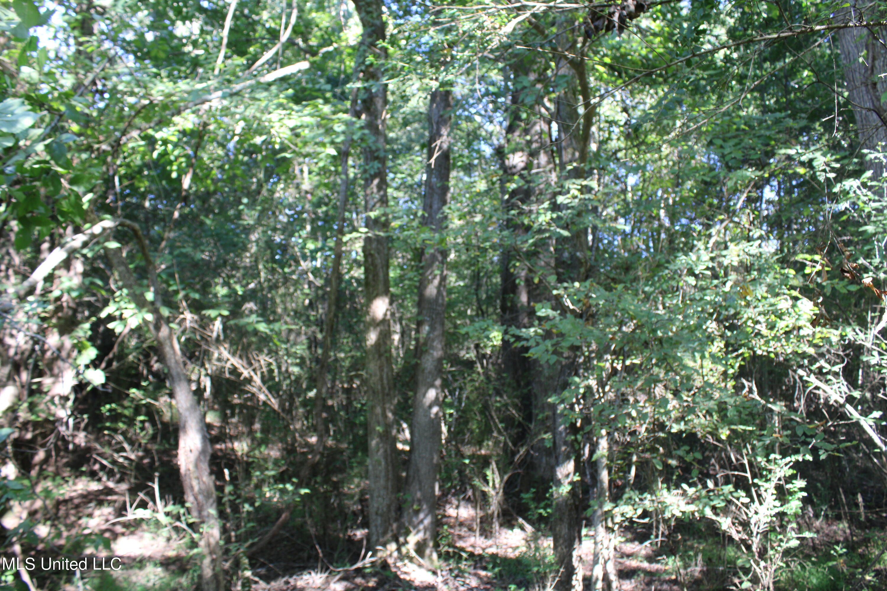 799 Rader Creek Road Sarah, MS 38665 - Photo 4 of 9 IMG_4622