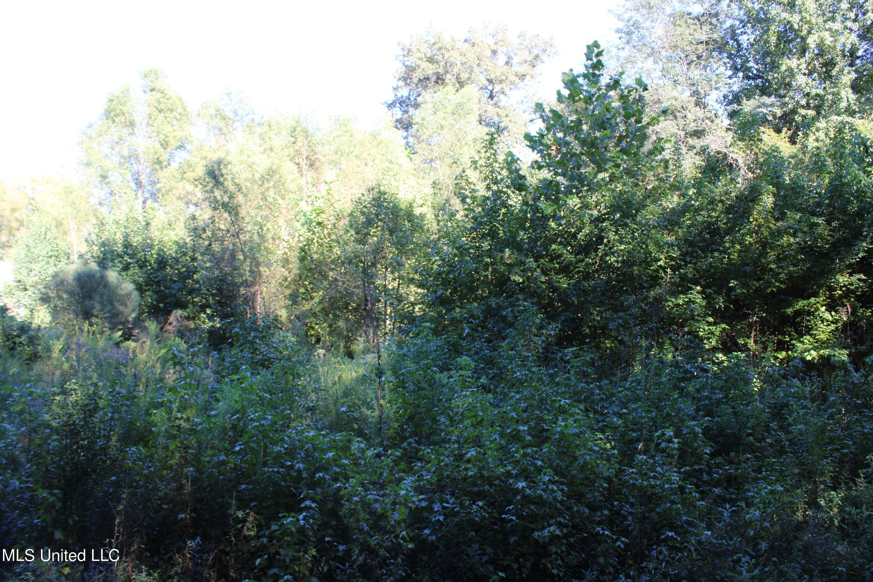 799 Rader Creek Road Sarah, MS 38665 - Photo 5 of 9 IMG_4624