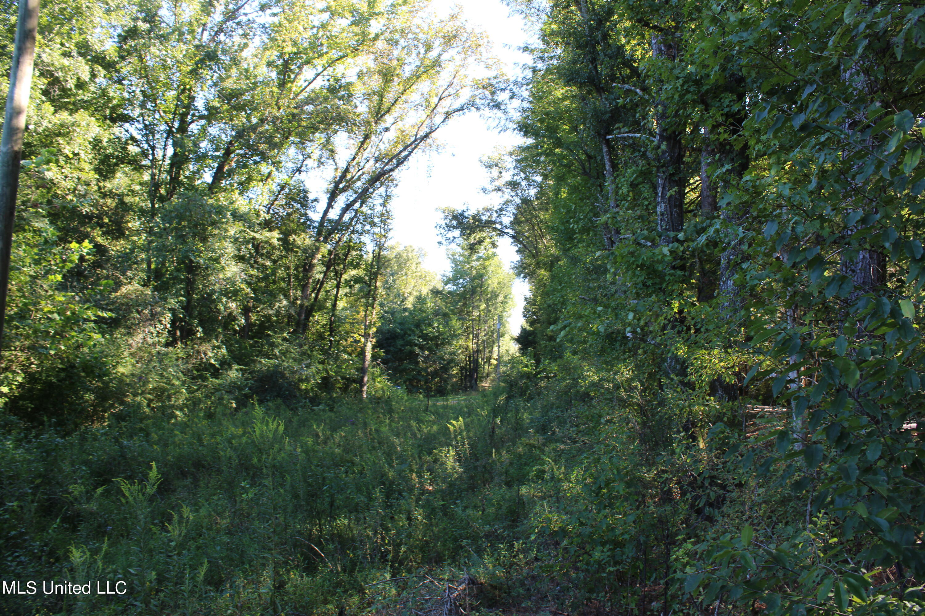 799 Rader Creek Road Sarah, MS 38665 - Photo 6 of 9 IMG_4625