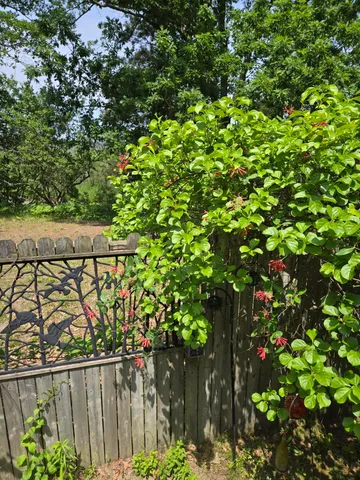 $449,900 | 1384 Olson Road, Manistee, MI 49660