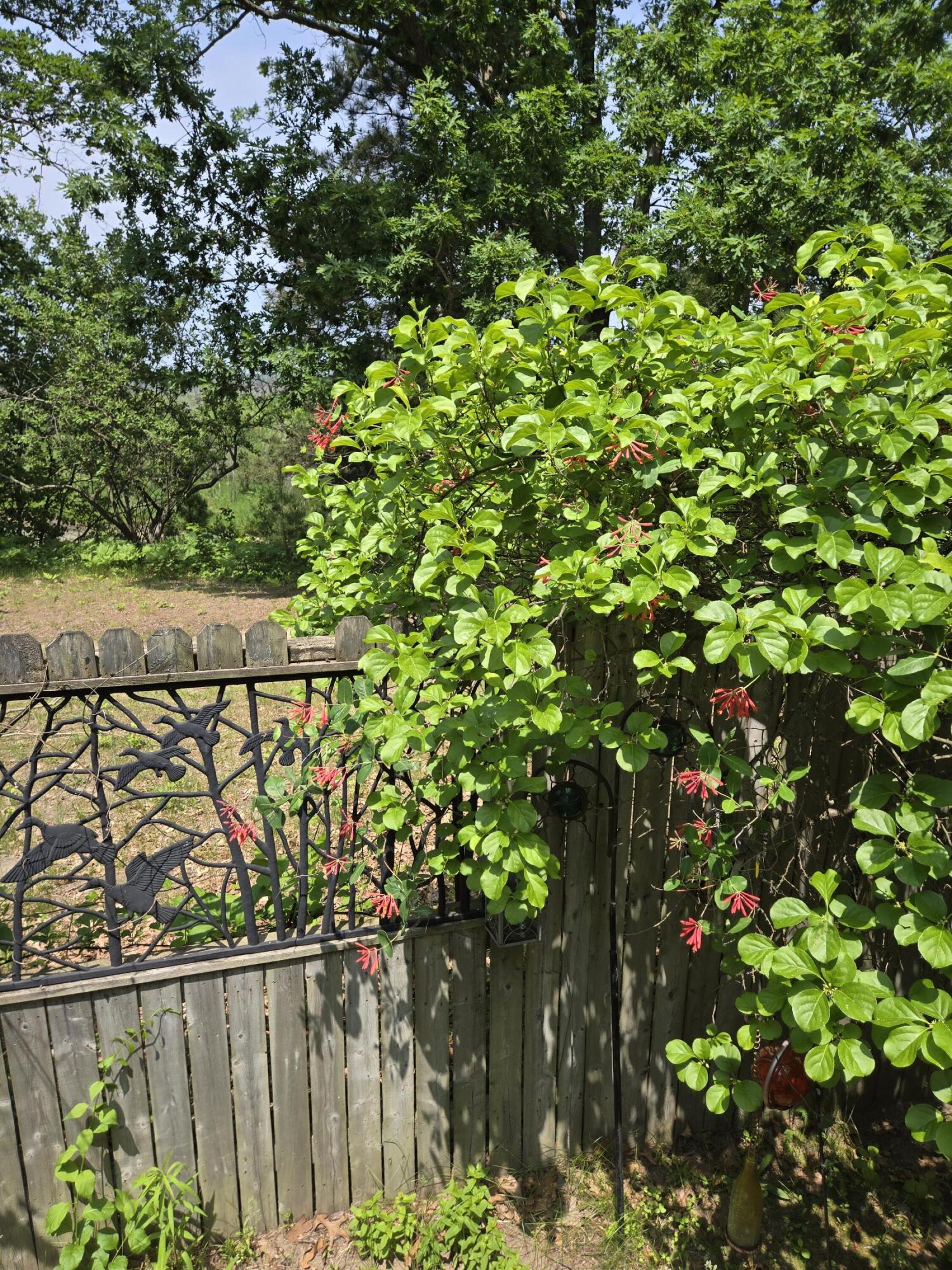 1384 Olson Road Manistee, MI 49660 - Photo 39 of 72 Fence by Deck