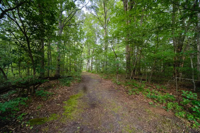 $449,900 | 1384 Olson Road, Manistee, MI 49660