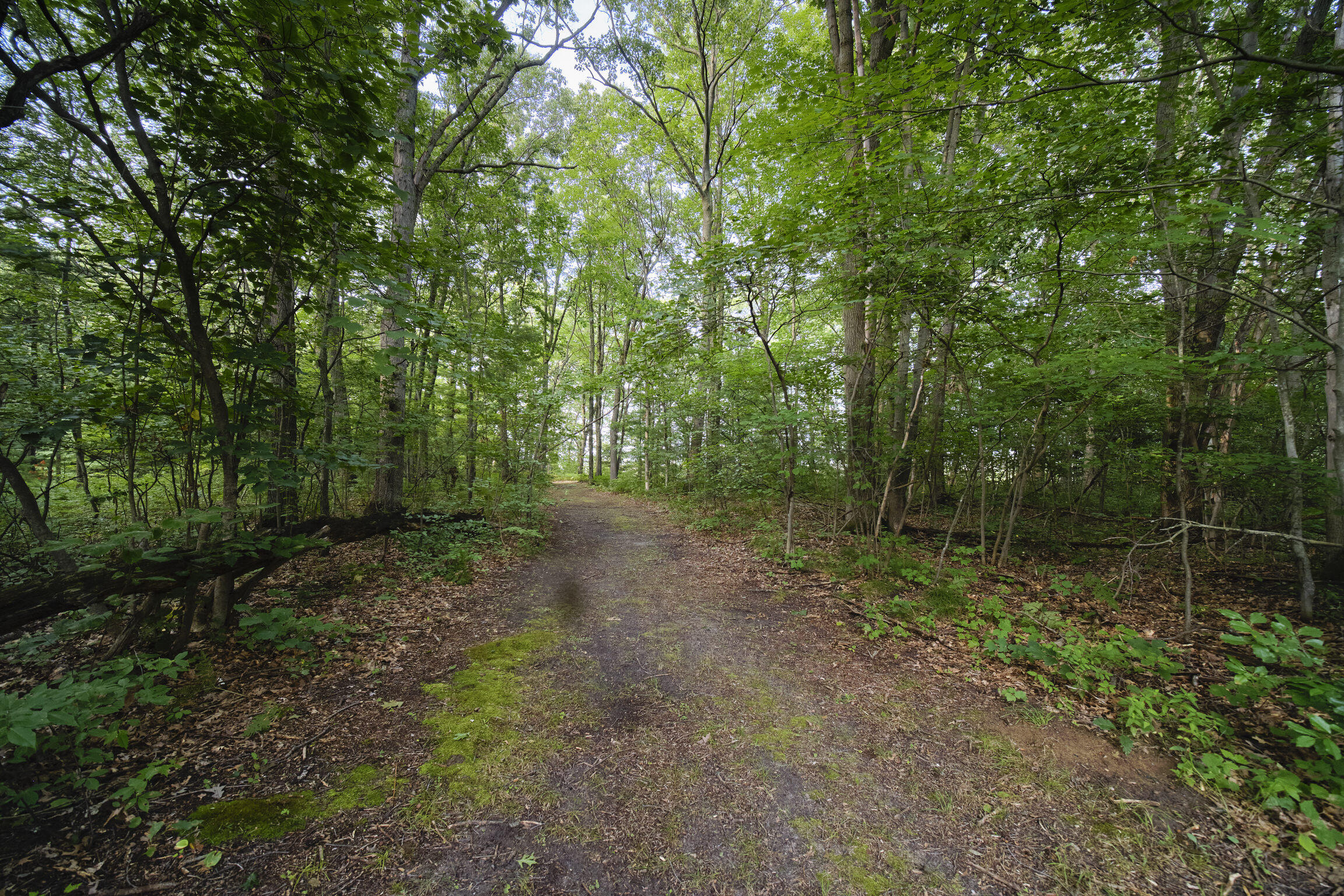 1384 Olson Road Manistee, MI 49660 - Photo 46 of 72 Driveway