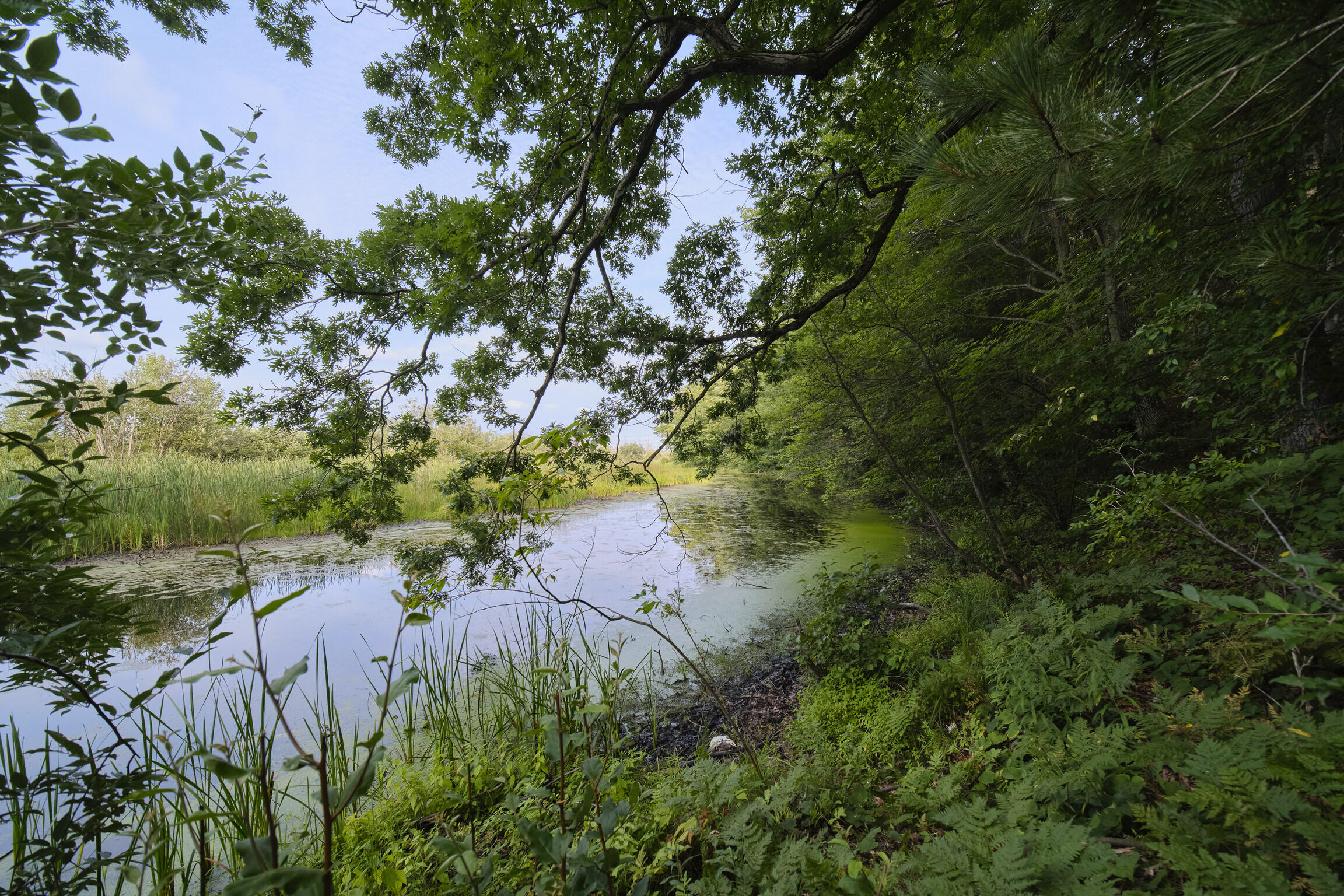 1384 Olson Road Manistee, MI 49660 - Photo 49 of 72 Bayou