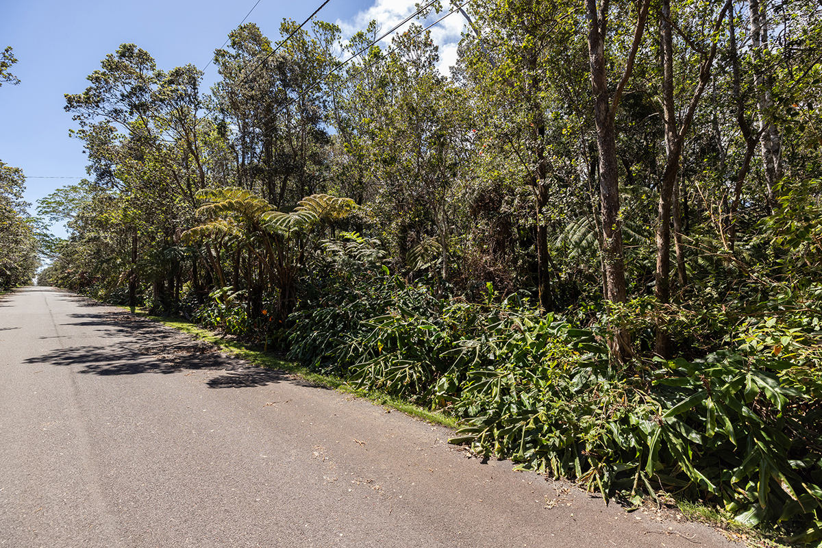 949 11th Street Volcano, HI 96785 - Photo 3 of 7