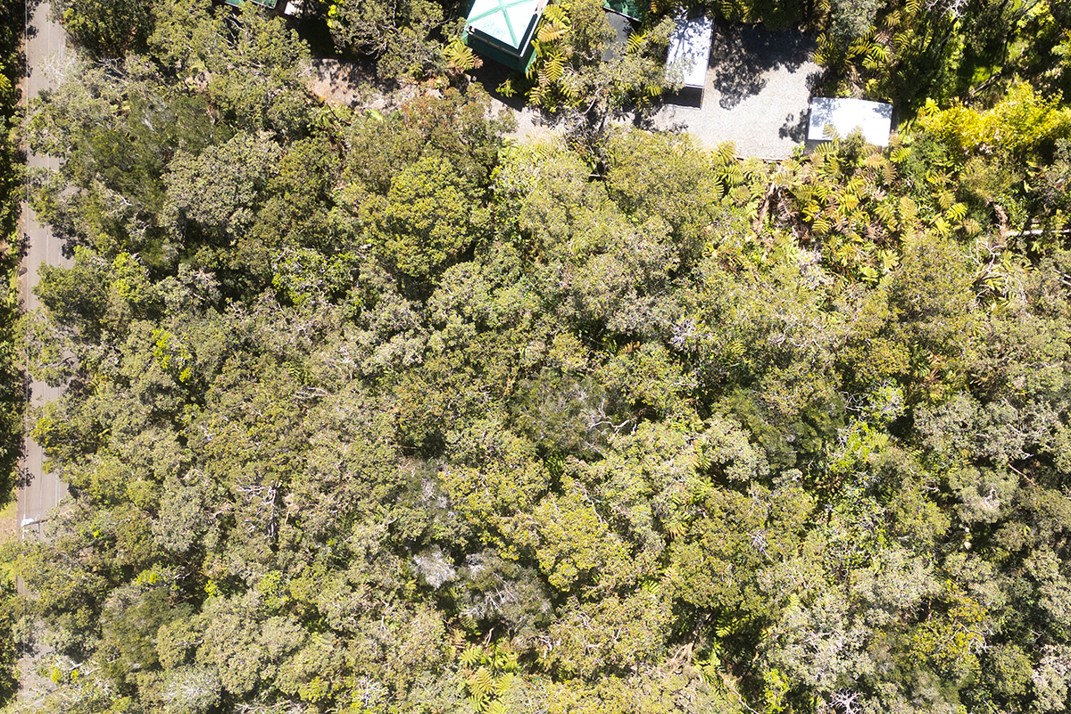 949 11th Street Volcano, HI 96785 - Photo 4 of 7